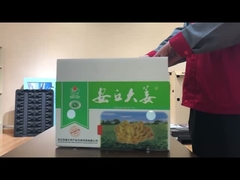 Kotak sayuran papan PP berongga