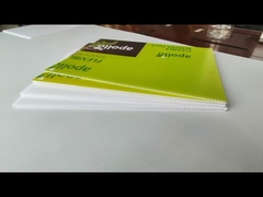 Papan berongga plastik