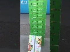 Kotak buah dan sayuran