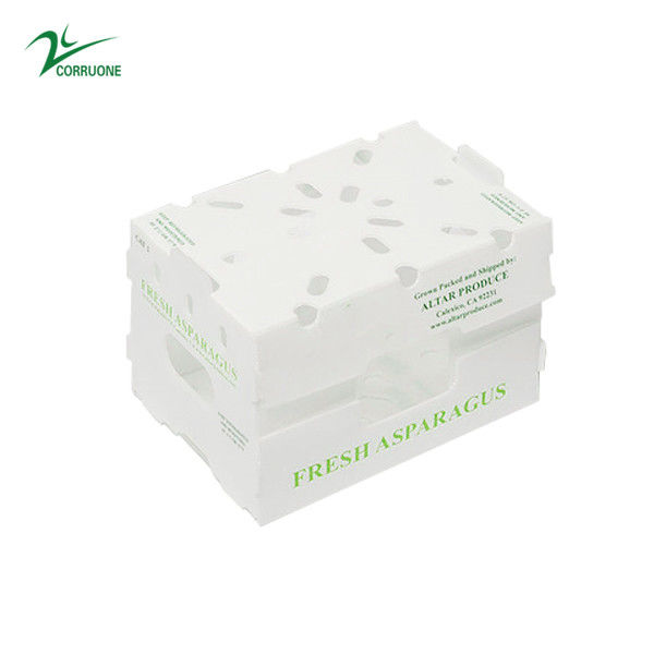 Corruone Waterproof Folding Polypropylene Corrugated Plastic Buah-buahan Sayuran Asparagus/Jahe/Taro/Okra Kotak kemasan