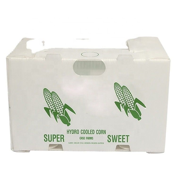 Correx Fruit Box PP Corrugated Plastic Box Untuk Sayuran Dan Pertanian Packing Box