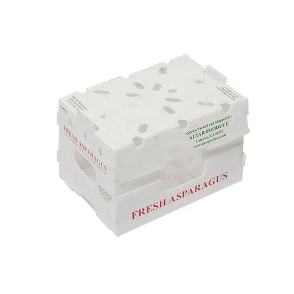 Correx Fruit Box PP Corrugated Plastic Box Untuk Sayuran Dan Pertanian Packing Box