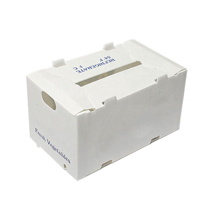 Correx Fruit Box PP Corrugated Plastic Box Untuk Sayuran Dan Pertanian Packing Box