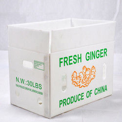 Correx Fruit Box PP Corrugated Plastic Box Untuk Sayuran Dan Pertanian Packing Box