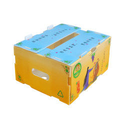 Correx Fruit Box PP Corrugated Plastic Box Untuk Sayuran Dan Pertanian Packing Box