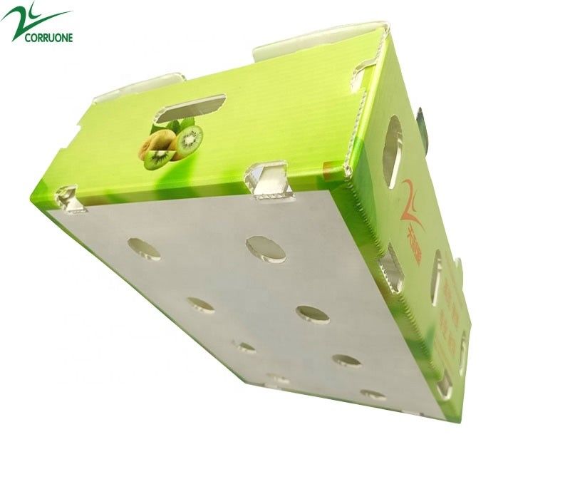 Corruone Waterproof Folding Polypropylene Corrugated Plastic Buah-buahan Sayuran Asparagus/Jahe/Taro/Okra Kotak kemasan