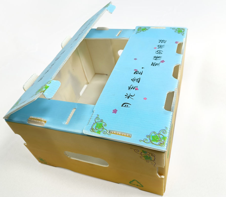 Corruone Waterproof Folding Polypropylene Corrugated Plastic Buah-buahan Sayuran Asparagus/Jahe/Taro/Okra Kotak kemasan