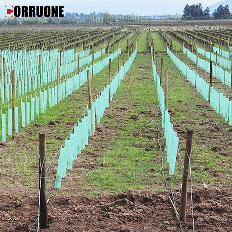 Lembaran plastik honeycomb plastik murah pelindung lembaran plastik pp lembaran plastik bergelombang yang efektif melindungi pohon muda