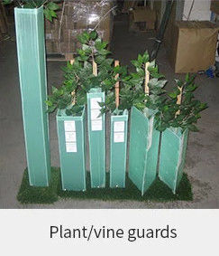 1.5mm PP Corflute Tree Guard Pelindung Batang Pohon Plastik Hijau
