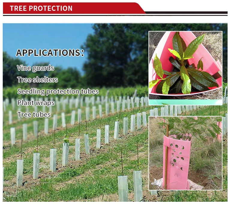 1.5mm PP Corflute Tree Guard Pelindung Batang Pohon Plastik Hijau
