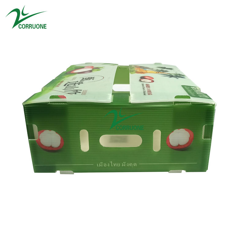 Corruone Lipat PP plastik bergelombang Danpla Box Polypropylene Plastik Lembar Kothak bergelombang Storage Box