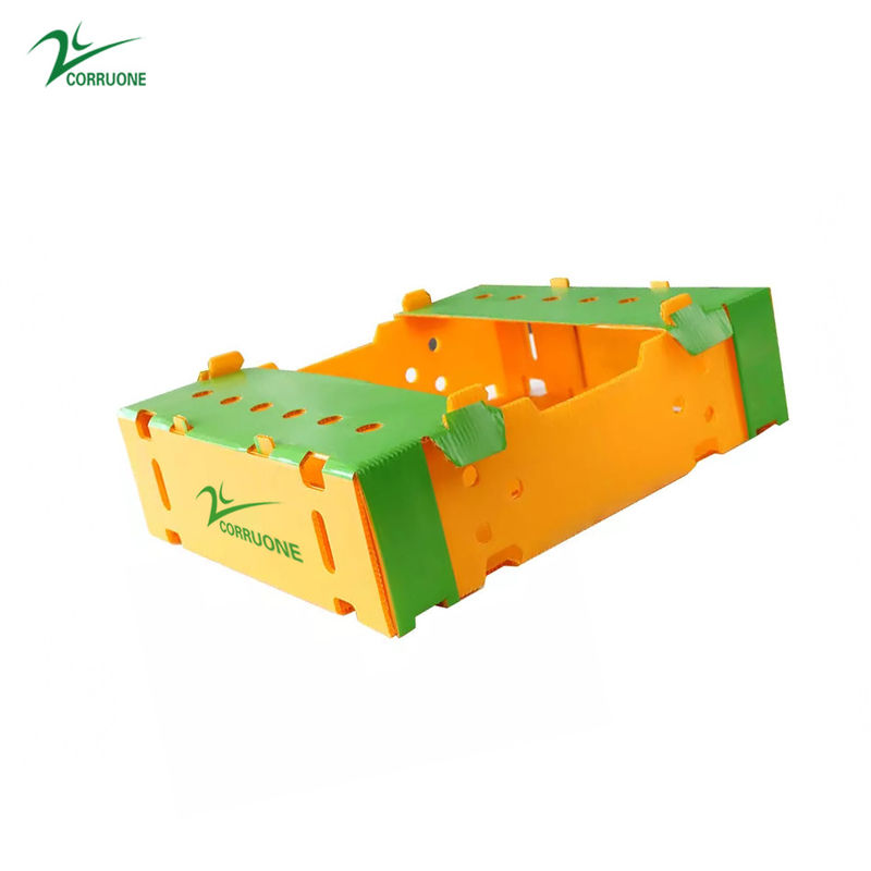 Corruone Lipat PP plastik bergelombang Danpla Box Polypropylene Plastik Lembar Kothak bergelombang Storage Box