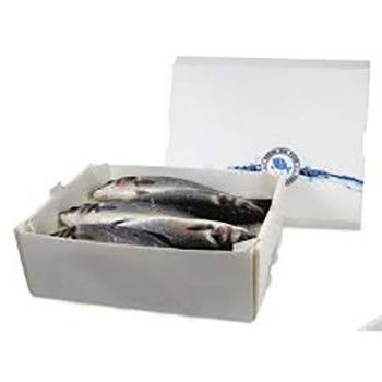 Corruone PP polipropilena 5 KG & 10 KG Custom Waterproof daging beku atau makanan laut kemasan kotak makanan laut plastik bergelombang