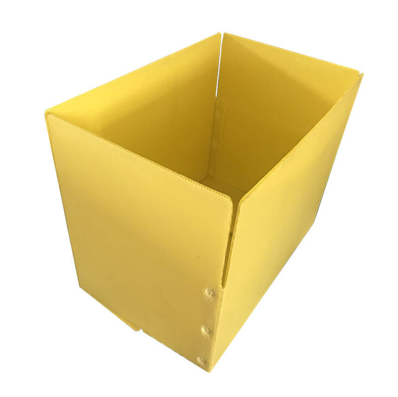 Yellow Asparagus Correx PP Corrugated Box 3.5mm Corflute Storage Boxes