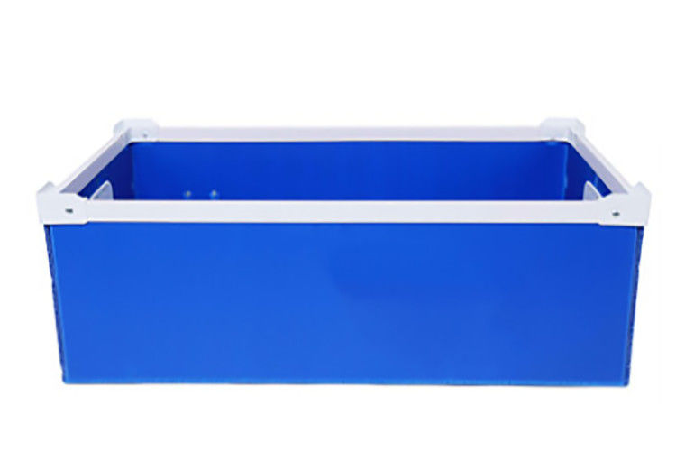 Yellow Asparagus Correx PP Corrugated Box 3.5mm Corflute Storage Boxes