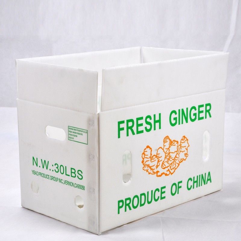 Kustom Asparagus PP Corrugated Box Correx Corrugated Plastic Delivery Box