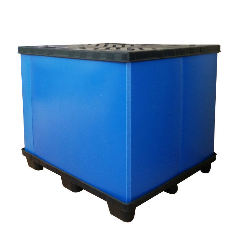 Kustom Asparagus PP Corrugated Box Correx Corrugated Plastic Delivery Box