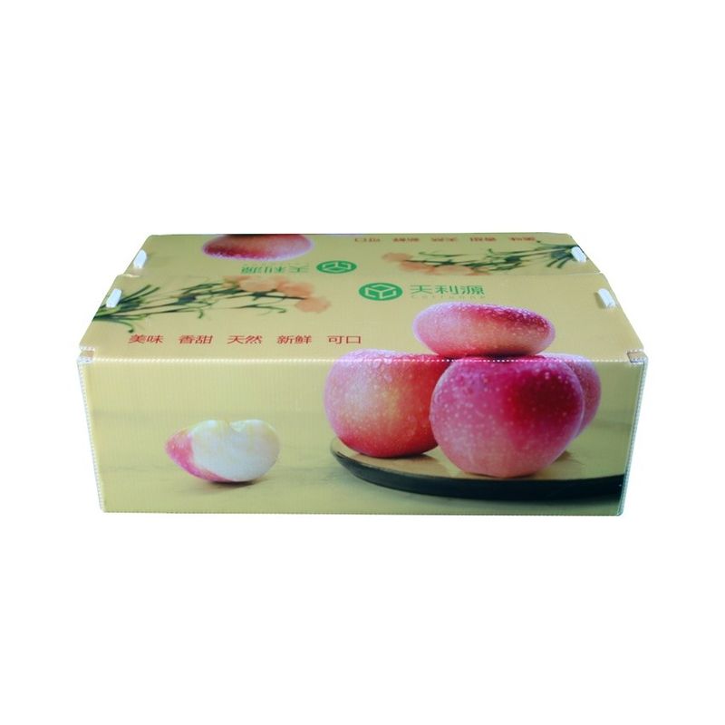 Twinwall PP Corrugated Box Food Grade Corflute Container Untuk Sayuran Buah