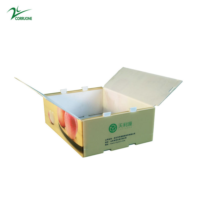 Twinwall PP Corrugated Box Food Grade Corflute Container Untuk Sayuran Buah