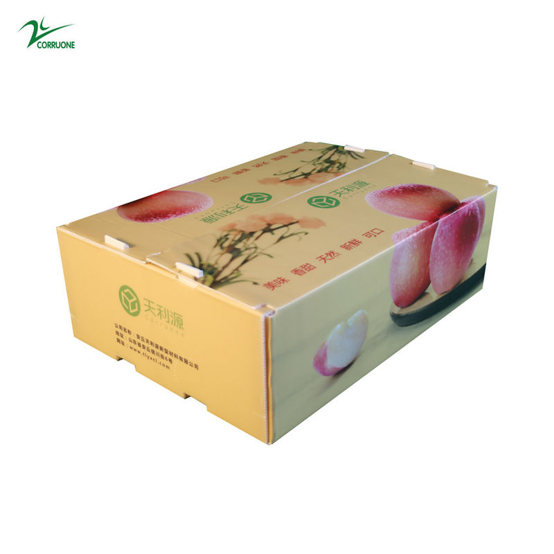 Twinwall PP Corrugated Box Food Grade Corflute Container Untuk Sayuran Buah