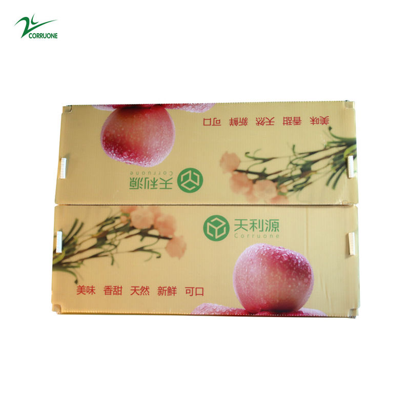 Twinwall PP Corrugated Box Food Grade Corflute Container Untuk Sayuran Buah