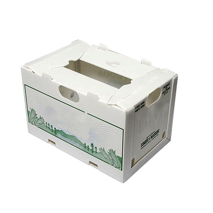 3.5mm Jagung Kotak Bergerak Plastik Bergelombang Matt Lamination Printing