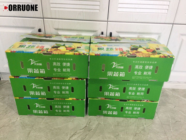 Kotak plastik bergelombang PP untuk sayur-sayuran dan buah-buahan Kotak Brokoli jagung dan Pertanian Kotak kemasan