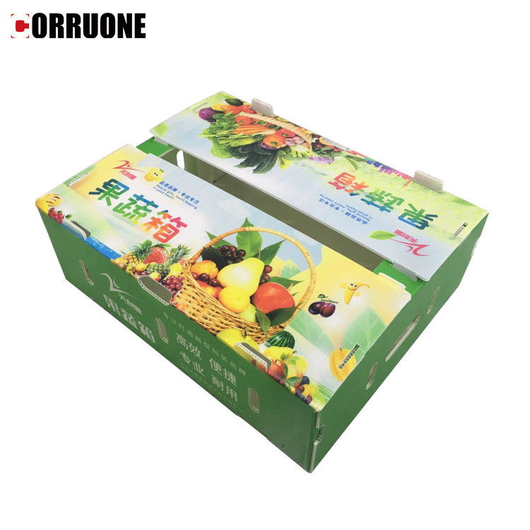 Kotak plastik bergelombang PP untuk sayur-sayuran dan buah-buahan Kotak Brokoli jagung dan Pertanian Kotak kemasan