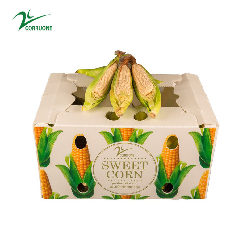 Corruone Waterproof Folding Polypropylene Corrugated Plastic Buah-buahan Sayuran Asparagus/Jahe/Taro/Okra Kotak kemasan