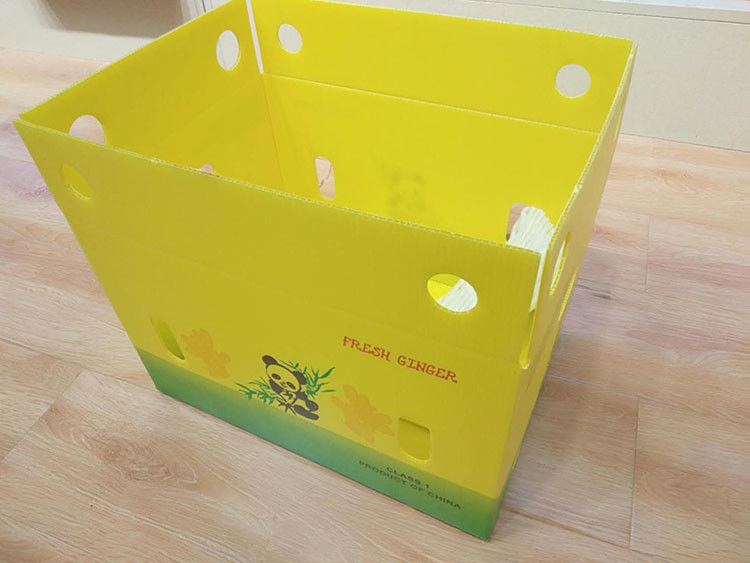 3.5mm Mangga Bergelombang Kotak Kartonplast Kotak Bergelombang Untuk Kemasan Buah