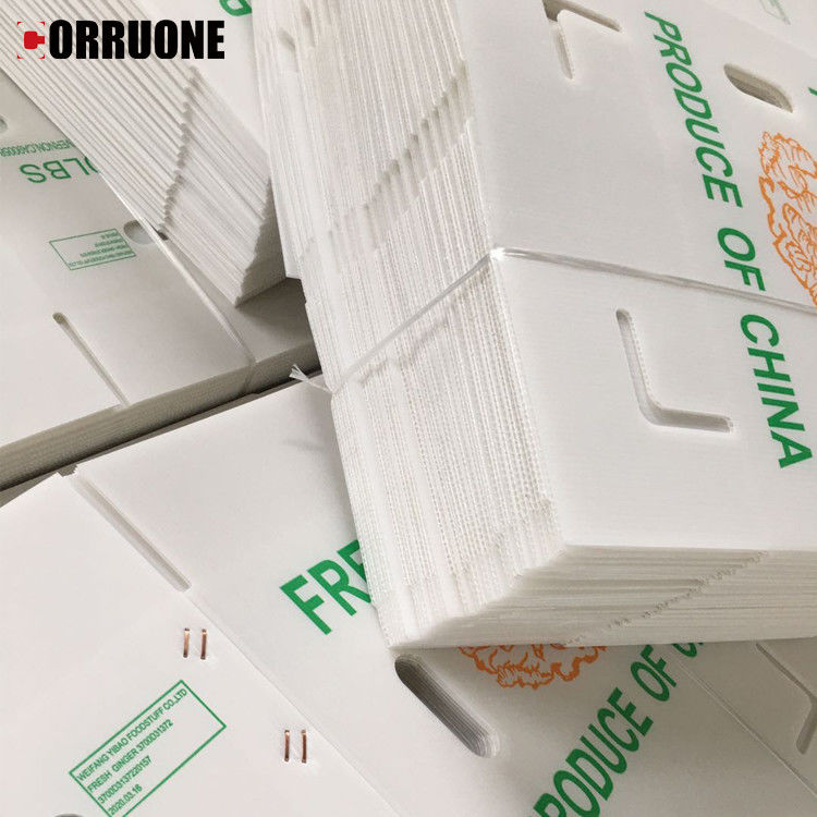 3.5mm Mangga Bergelombang Kotak Kartonplast Kotak Bergelombang Untuk Kemasan Buah