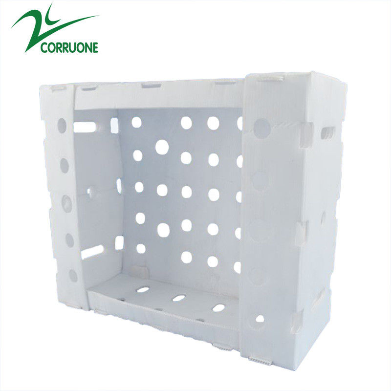 Corflute PP Seafood Delivery Box Blue Coroplast Storage Box