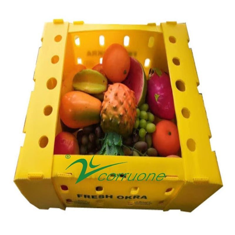 Corflute PP Seafood Delivery Box Blue Coroplast Storage Box