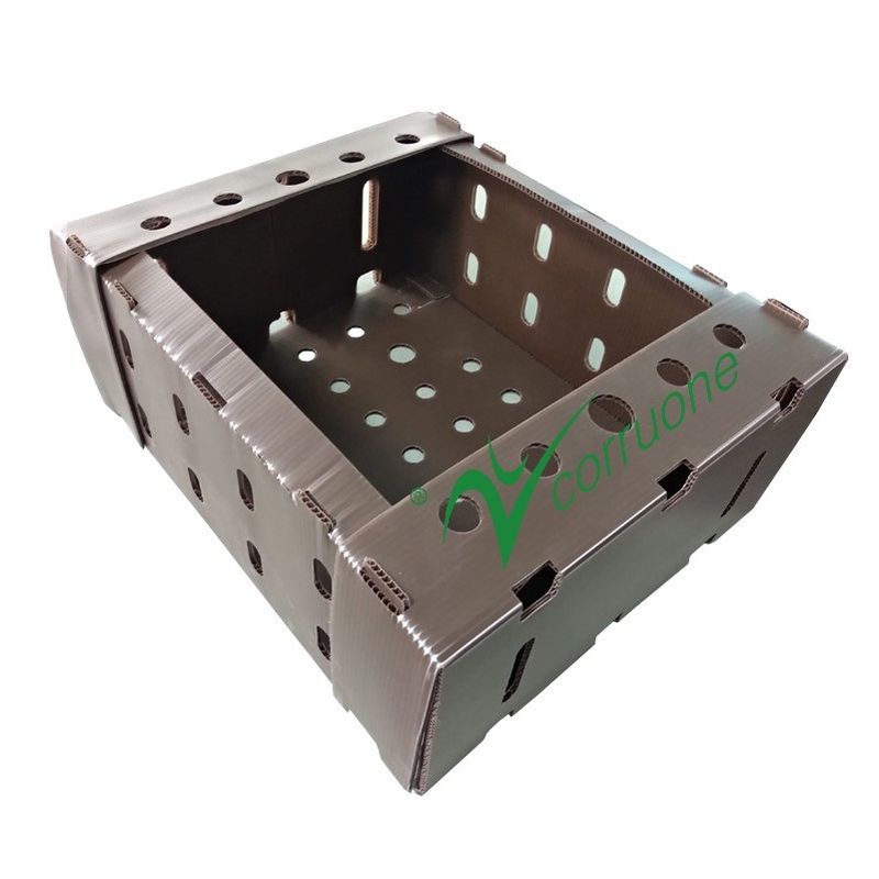 Corflute PP Seafood Delivery Box Blue Coroplast Storage Box