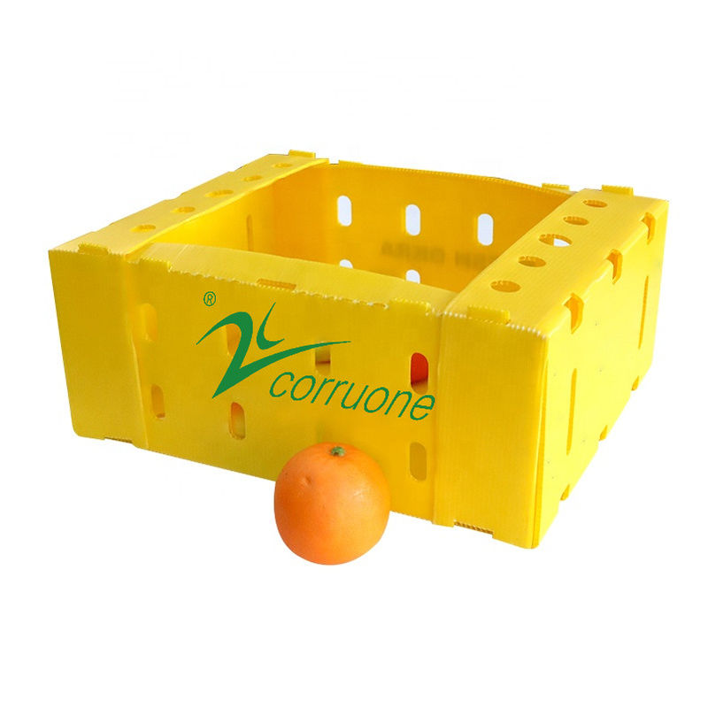 Corflute PP Seafood Delivery Box Blue Coroplast Storage Box