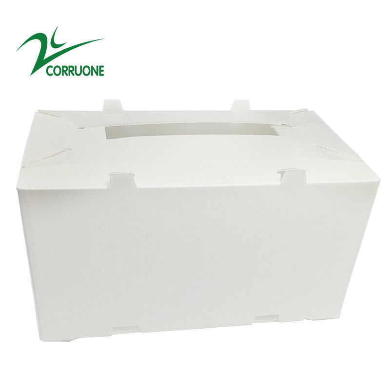 2mm-11mm Karton Berongga Coroplast Correx Dilipat Kotak Plastik Bergelombang