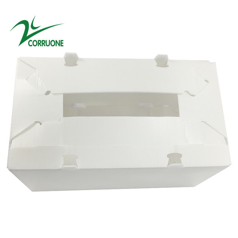 2mm-11mm Karton Berongga Coroplast Correx Dilipat Kotak Plastik Bergelombang