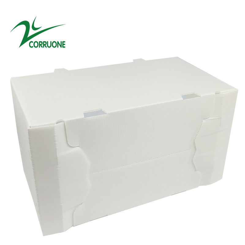 2mm-11mm Karton Berongga Coroplast Correx Dilipat Kotak Plastik Bergelombang
