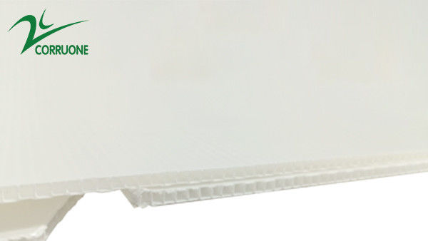 2mm-11mm Karton Berongga Coroplast Correx Dilipat Kotak Plastik Bergelombang