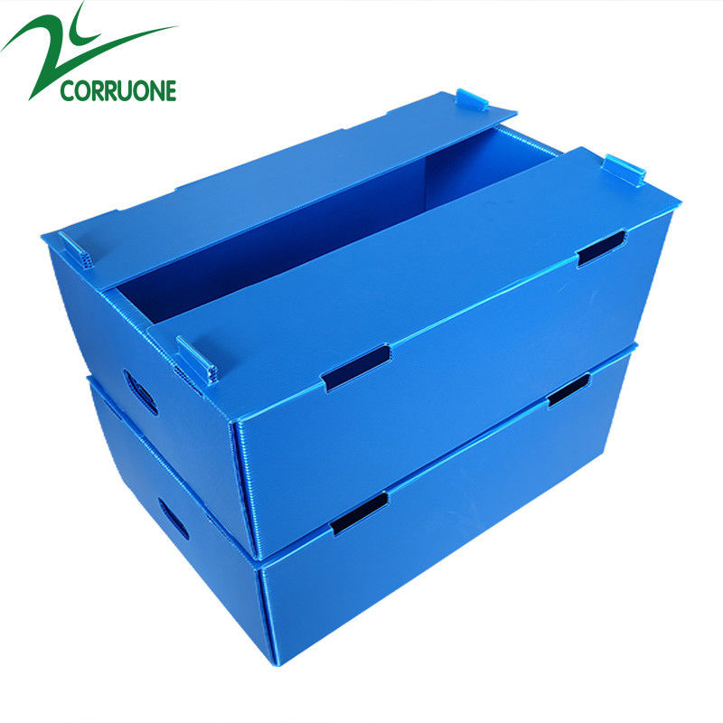 Grosir Reusable Stackable Pp Kemasan Plastik Bergelombang Kotak Buah Dan Sayur
