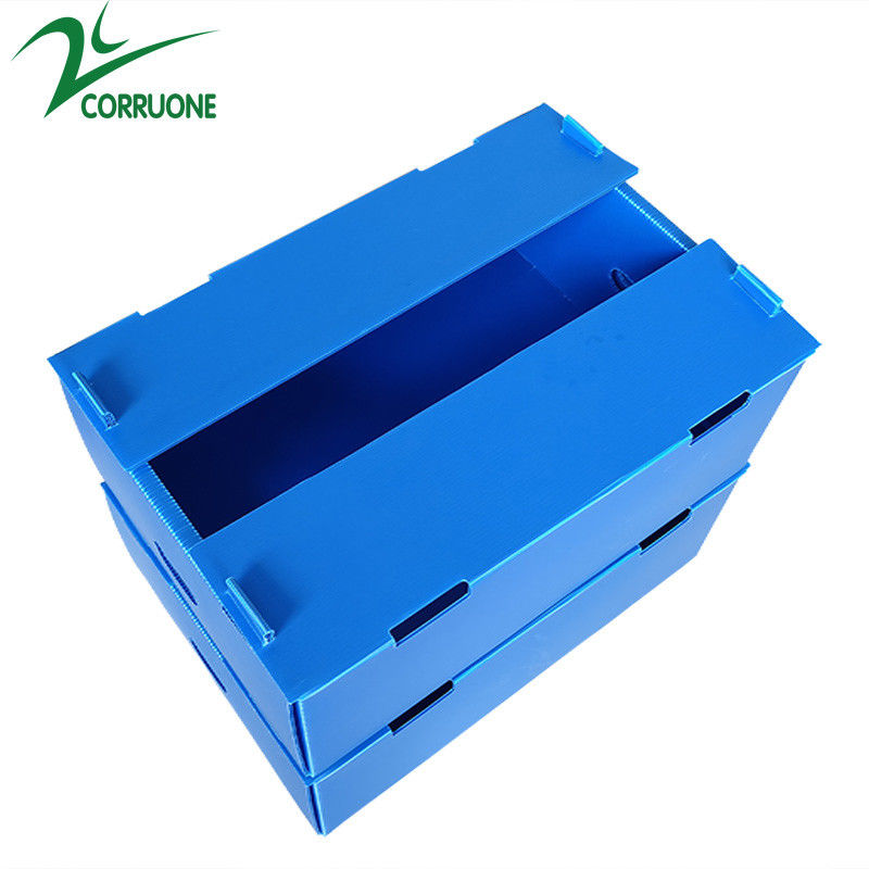 Grosir Reusable Stackable Pp Kemasan Plastik Bergelombang Kotak Buah Dan Sayur