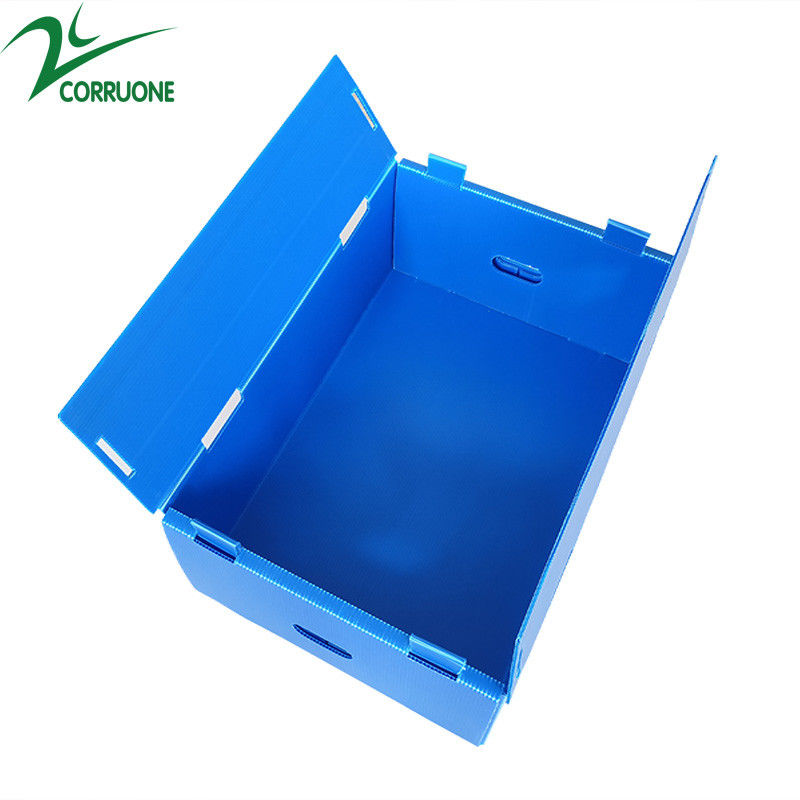 Grosir Reusable Stackable Pp Kemasan Plastik Bergelombang Kotak Buah Dan Sayur