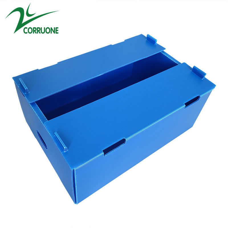 Grosir Reusable Stackable Pp Hollow Corflute Plastic Corflute Kemasan Kotak Buah Dan Sayur