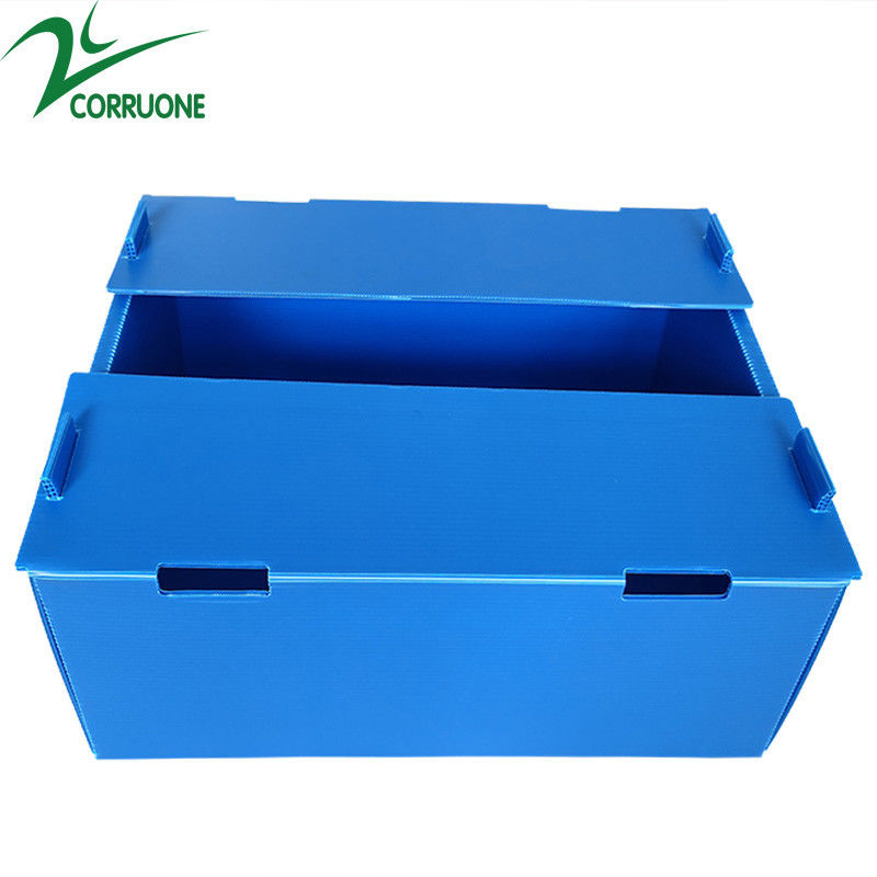 Grosir Reusable Stackable Pp Hollow Corflute Plastic Corflute Kemasan Kotak Buah Dan Sayur
