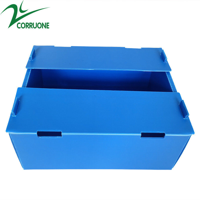 Grosir Reusable Stackable Pp Hollow Corflute Plastic Corflute Kemasan Kotak Buah Dan Sayur