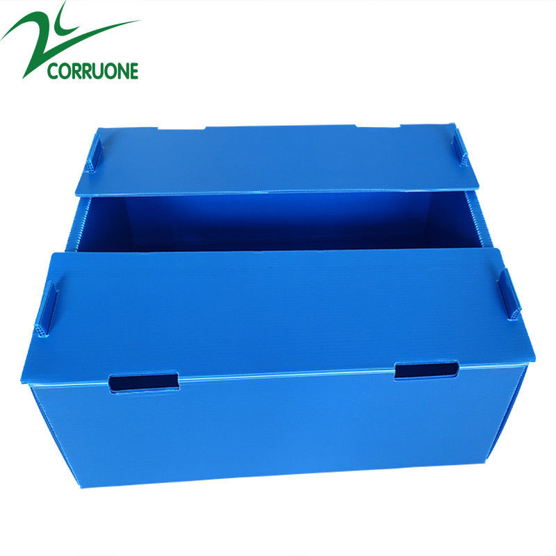 Grosir Reusable Stackable Pp Hollow Corflute Plastic Corflute Kemasan Kotak Buah Dan Sayur