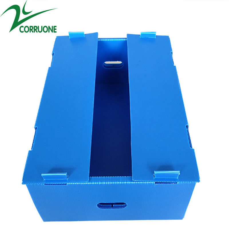 Grosir Reusable Stackable Pp Hollow Corflute Plastic Corflute Kemasan Kotak Buah Dan Sayur