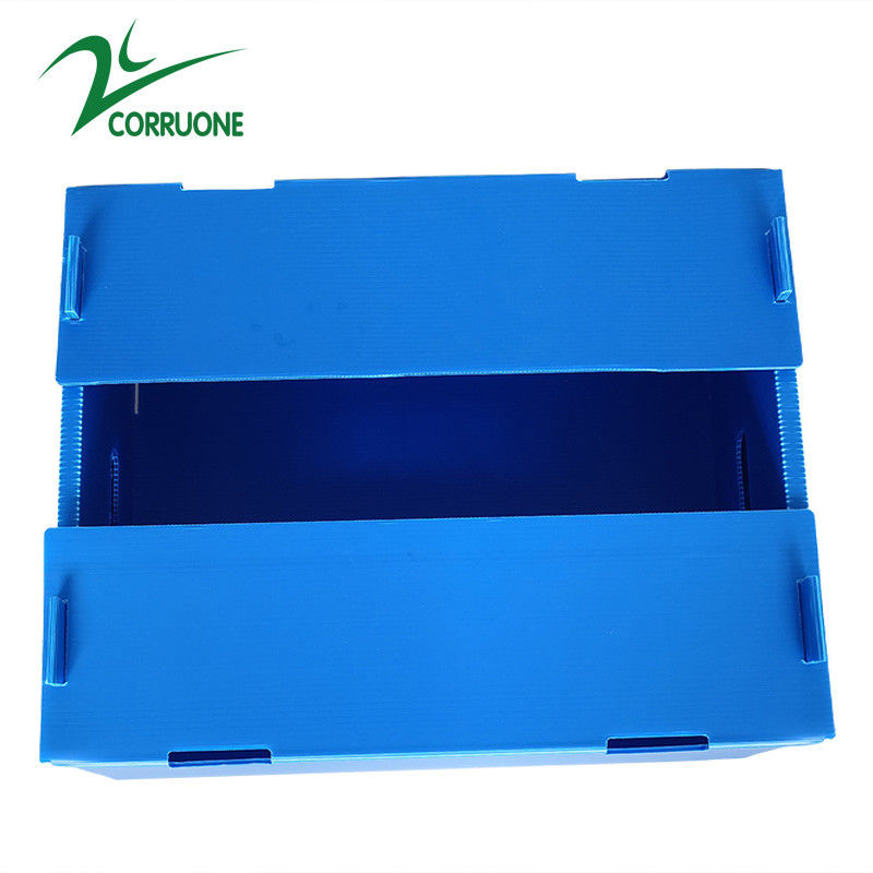 Grosir Reusable Stackable Pp Hollow Corflute Plastic Corflute Kemasan Kotak Buah Dan Sayur