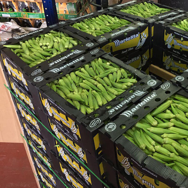 Corflute Okra Fruit Corrugated Boxes Kotak Plastik Bergelombang PP