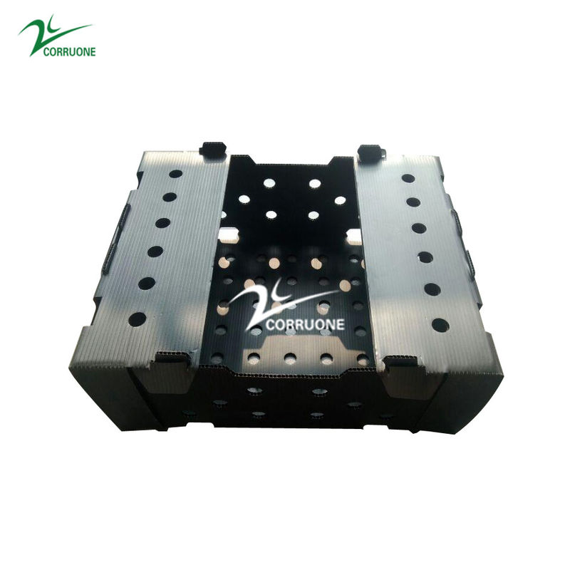 Danpla Corriboard Corrugated Plastic Moving Boxes Untuk Pakan Makanan Laut